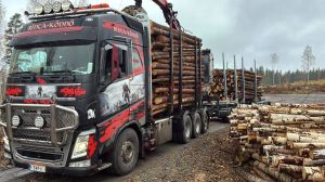Volvo FH 13 540, Puuautot, 2-akselinen