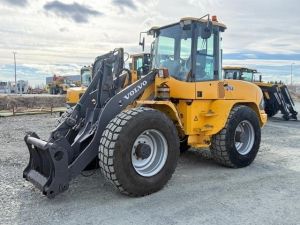 Volvo L45B-TP/S